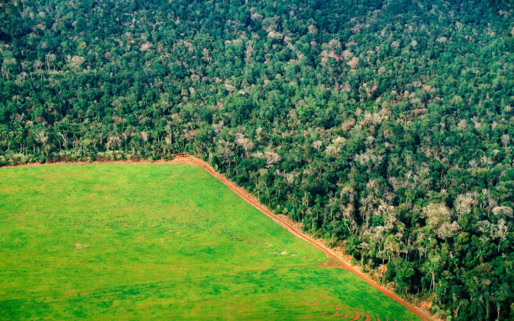 Deforestation of the Amazon jungle as seen from the air.