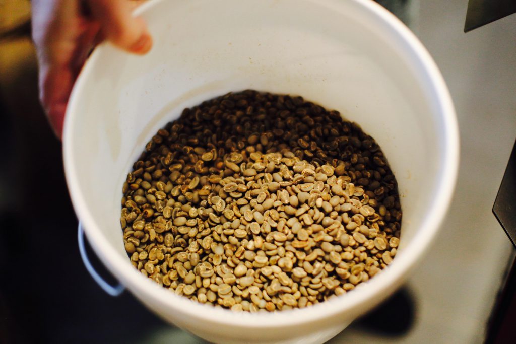 Roaster holds a bucket of green coffee