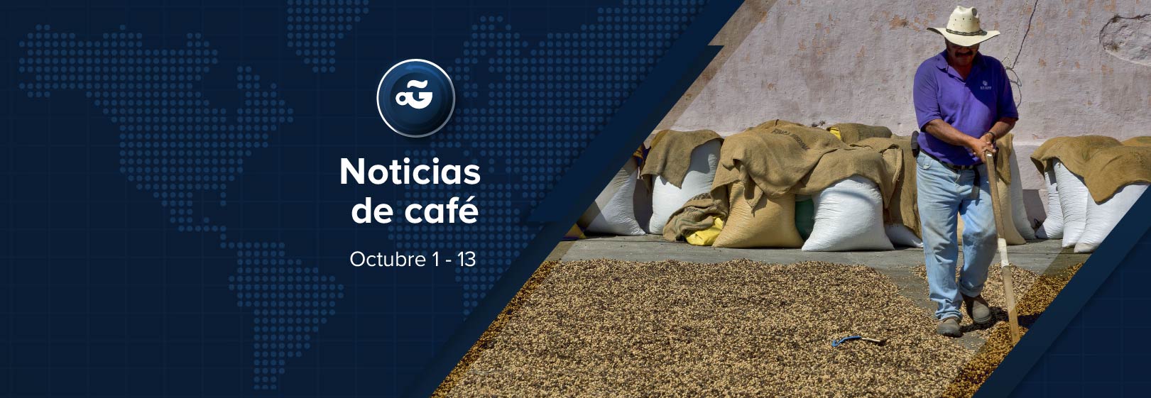 Noticias sobre café en América Latina